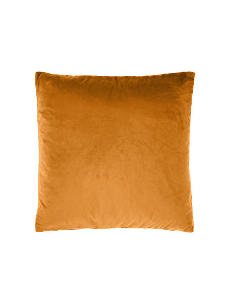 Belmore Velvet Cushion